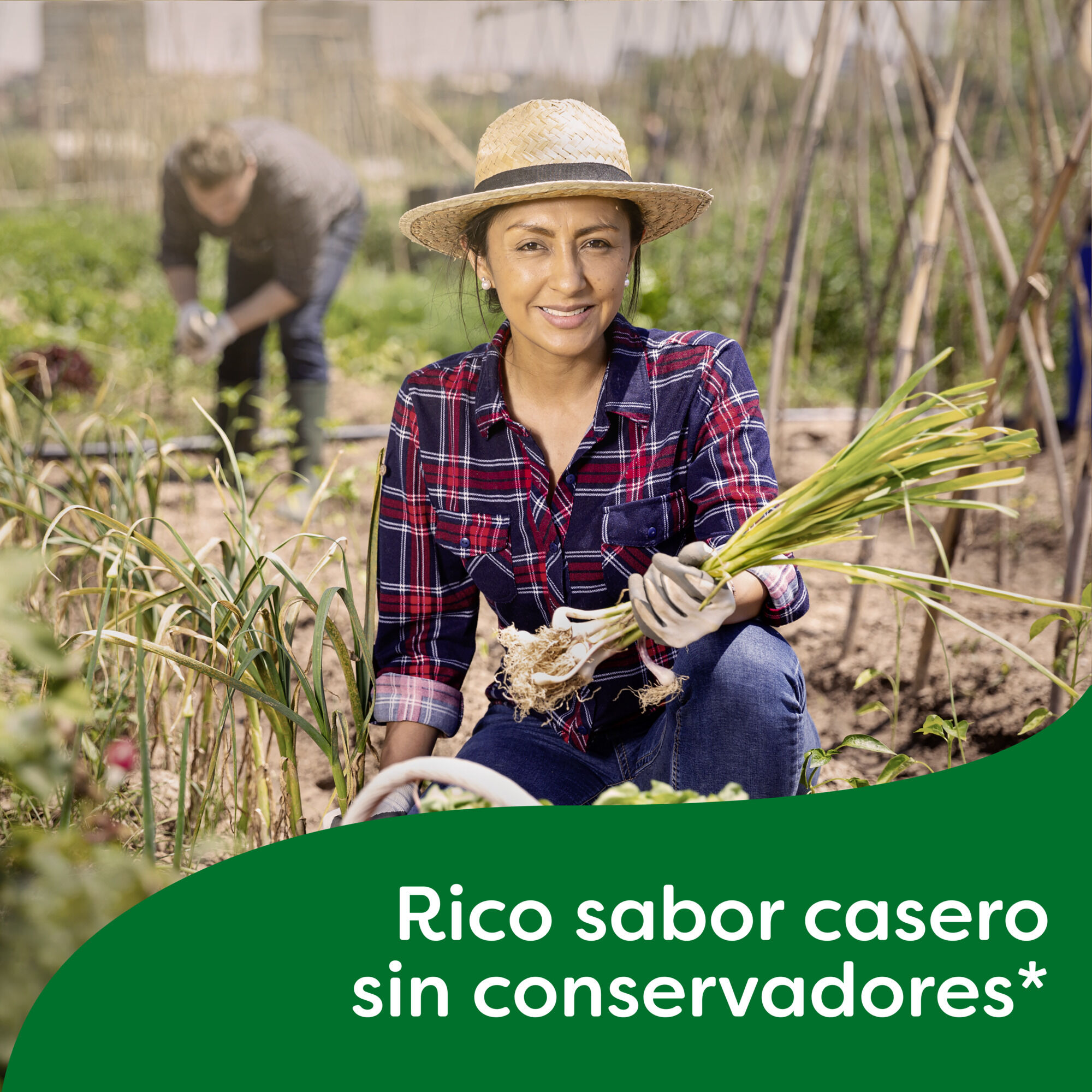 Arroz Blanco Knorr 155.0 Gr