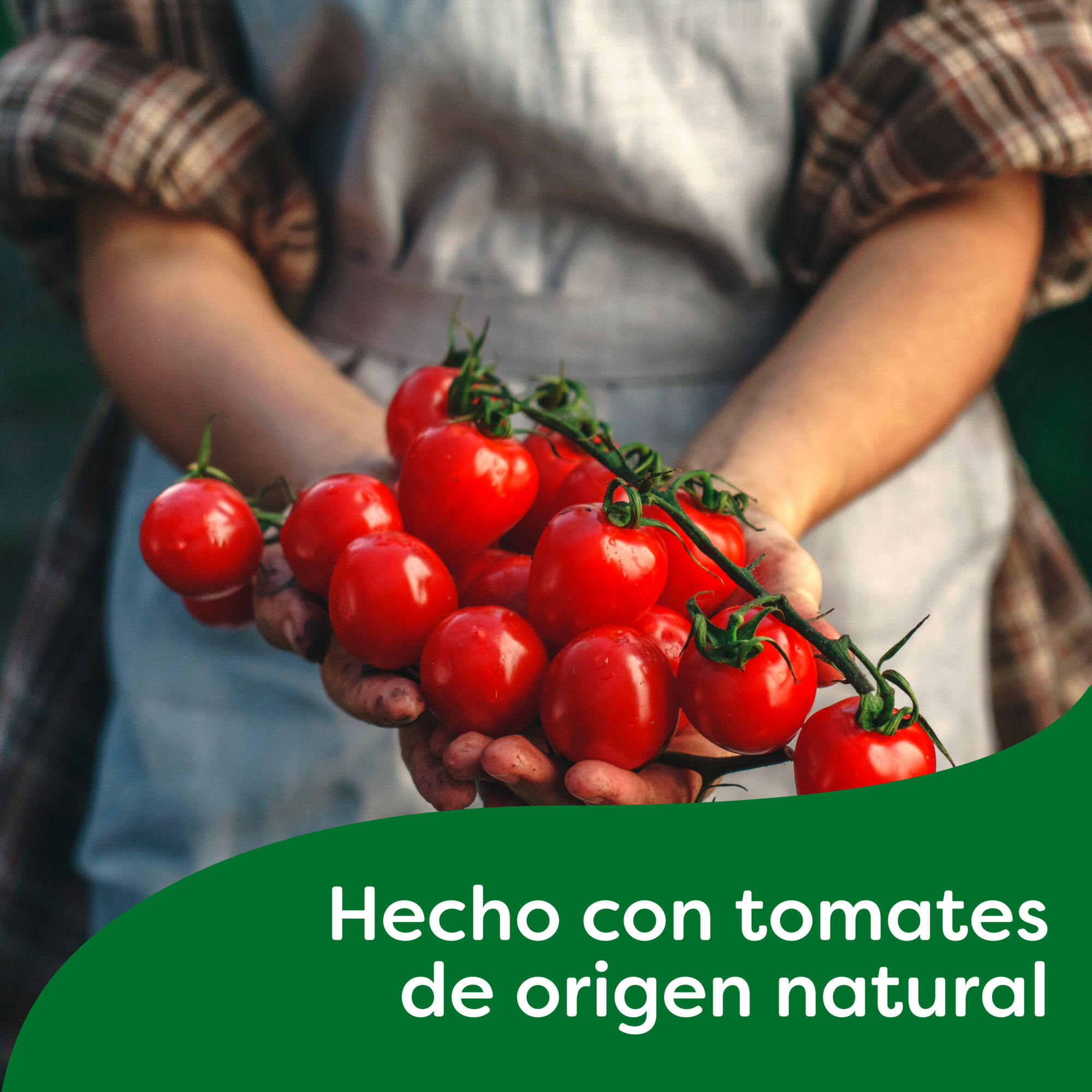 Caldillo Tomate Knorr 500 Ml