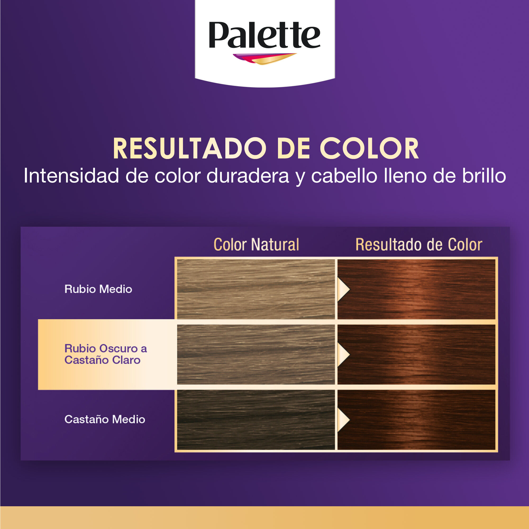 Tinte Cabello Chocolate Claro #6 68 Palette 1.0 Pza
