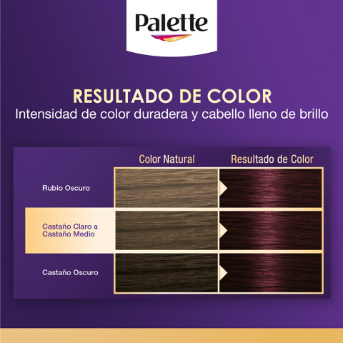 Tinte P/cabello Borgoña Intenso 4 89 Palette 1 Pza