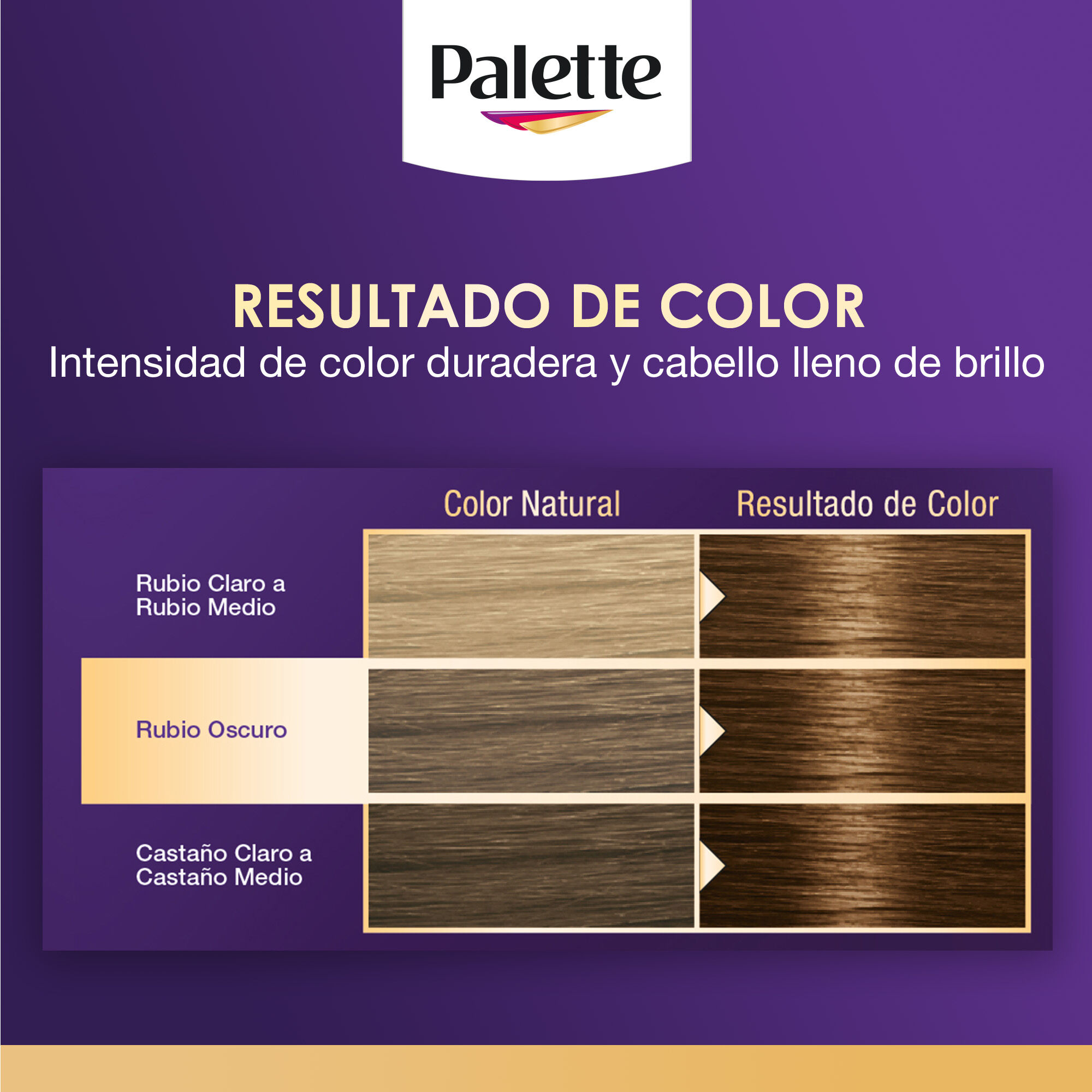 Tinte Cabello Chocolate Oro #6 60 Palette 1.0 Pza