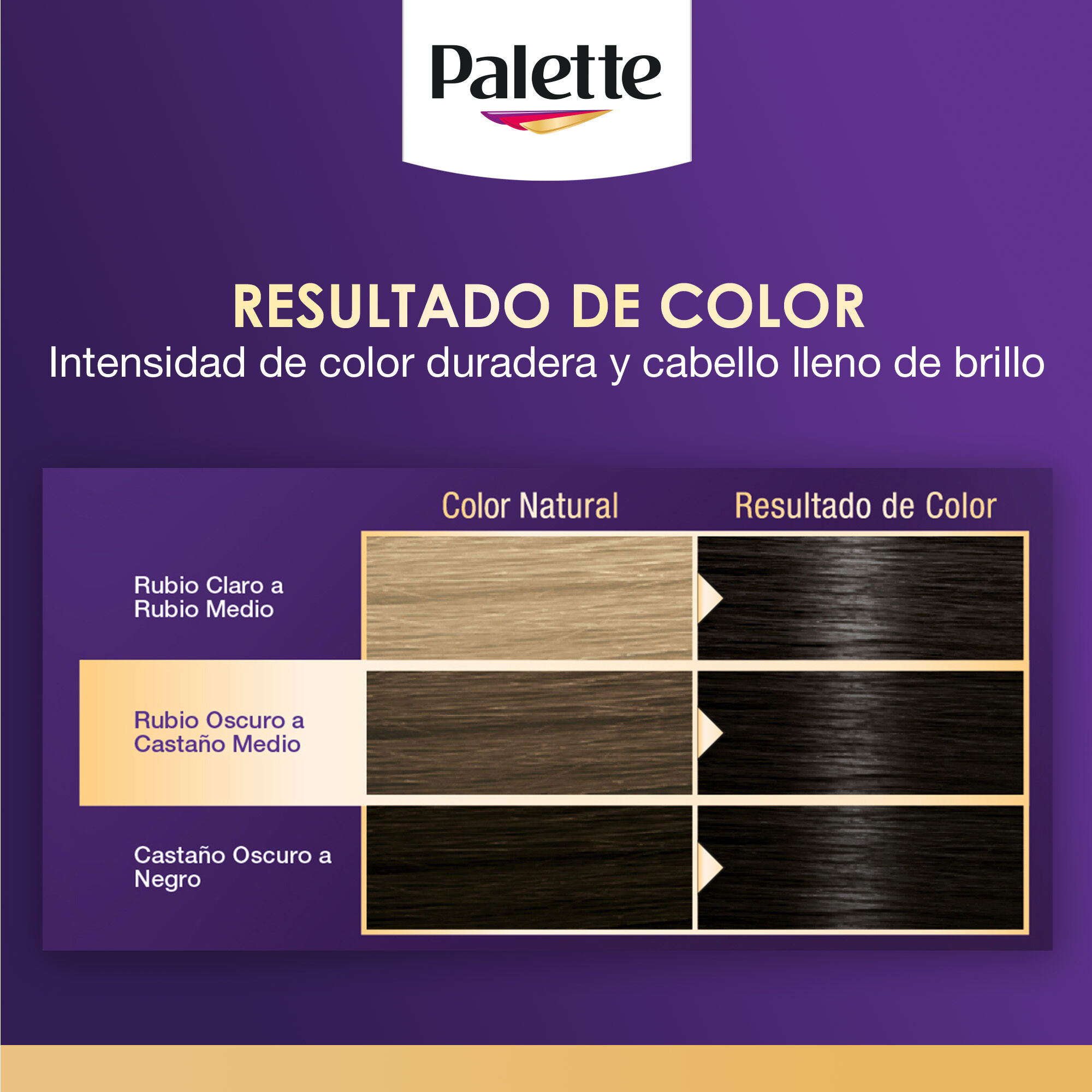 Tinte Cabello Negro #1 0 Palette 1.0 Pza