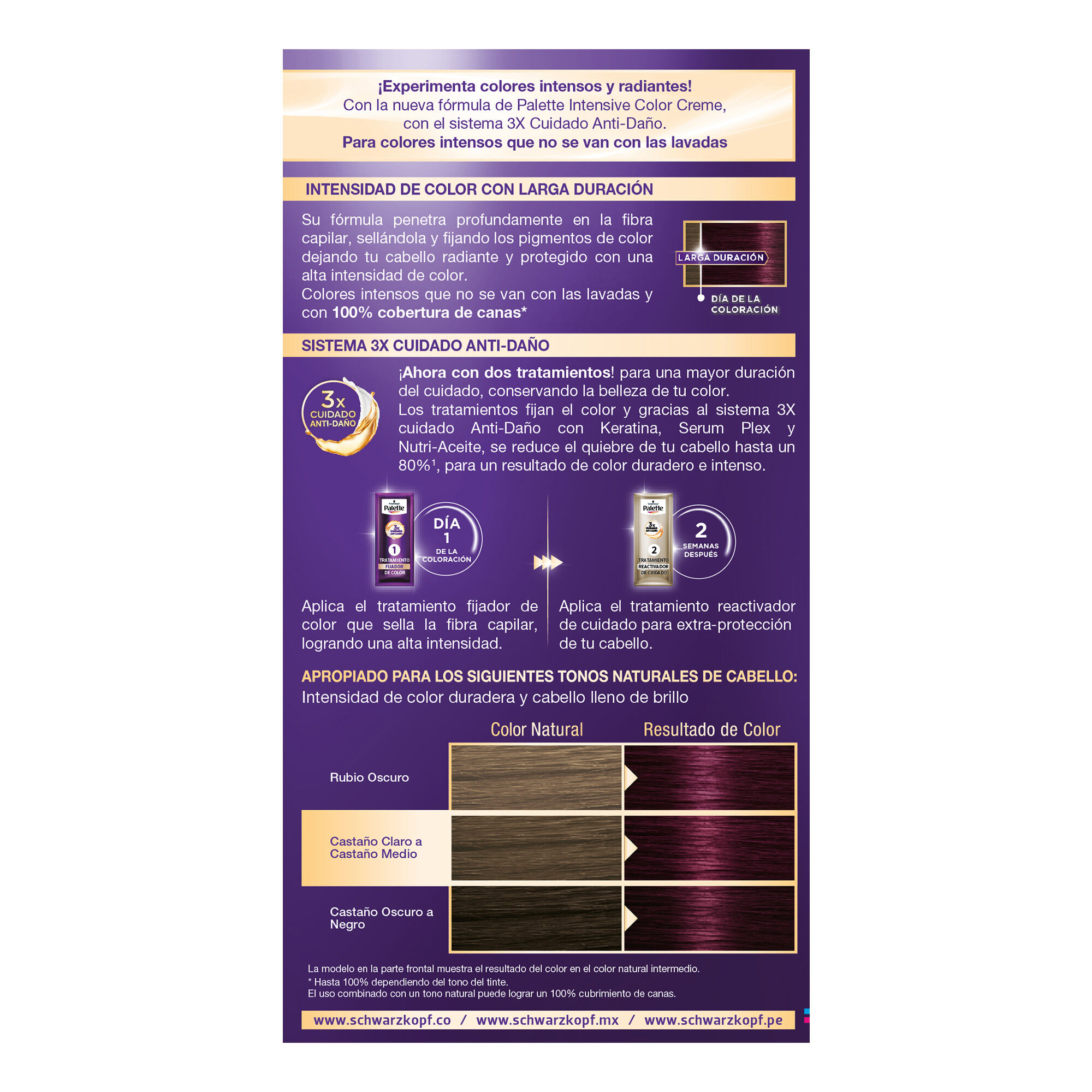 Tinte Cabello Violeta #4 90 Palette 1.0 Pza