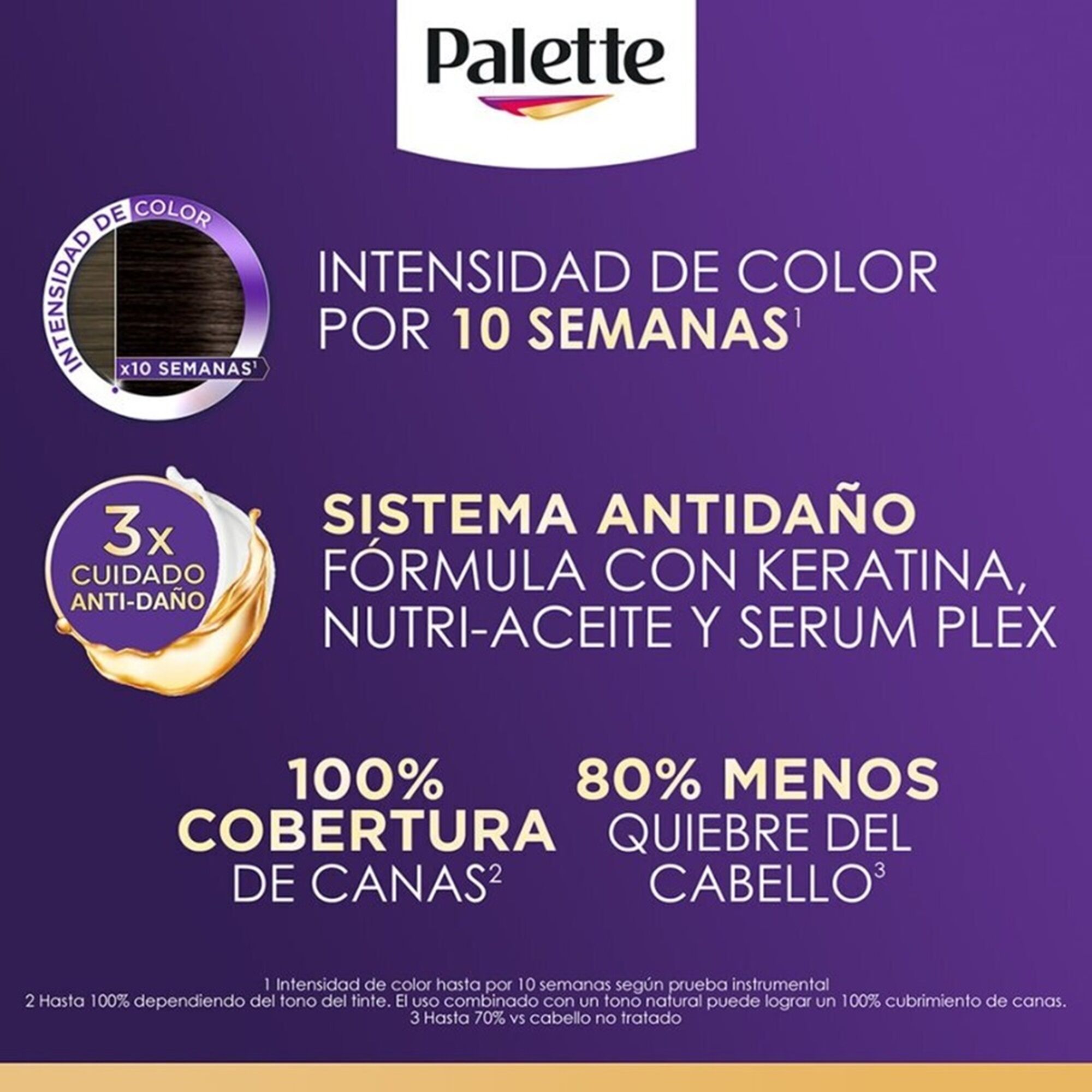Tinte Cabello Rubio Seductor #6 888 Palette 1.0 Pza