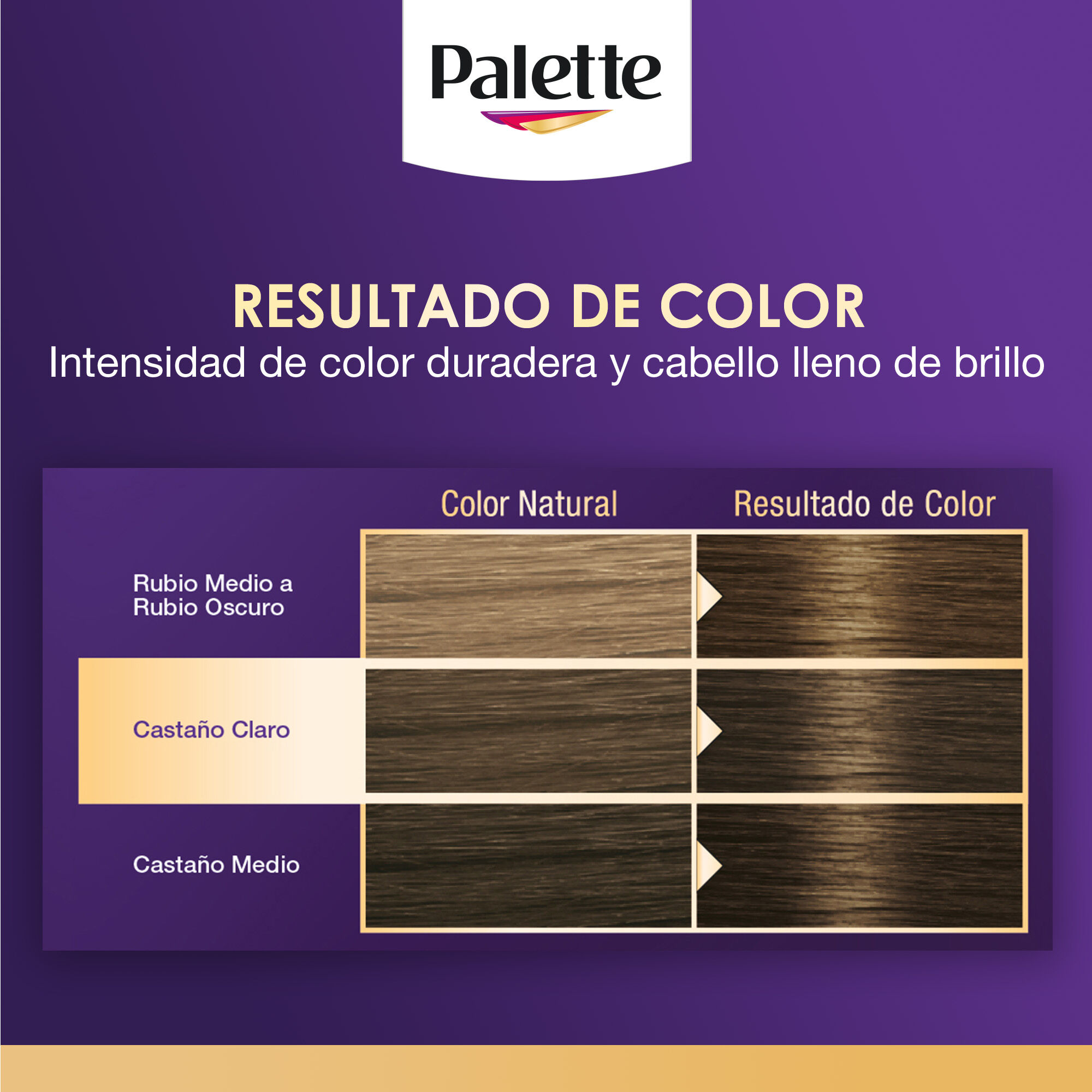 Tinte Cabello Castaño Avellana #5 63 Palette 1.0 Pza