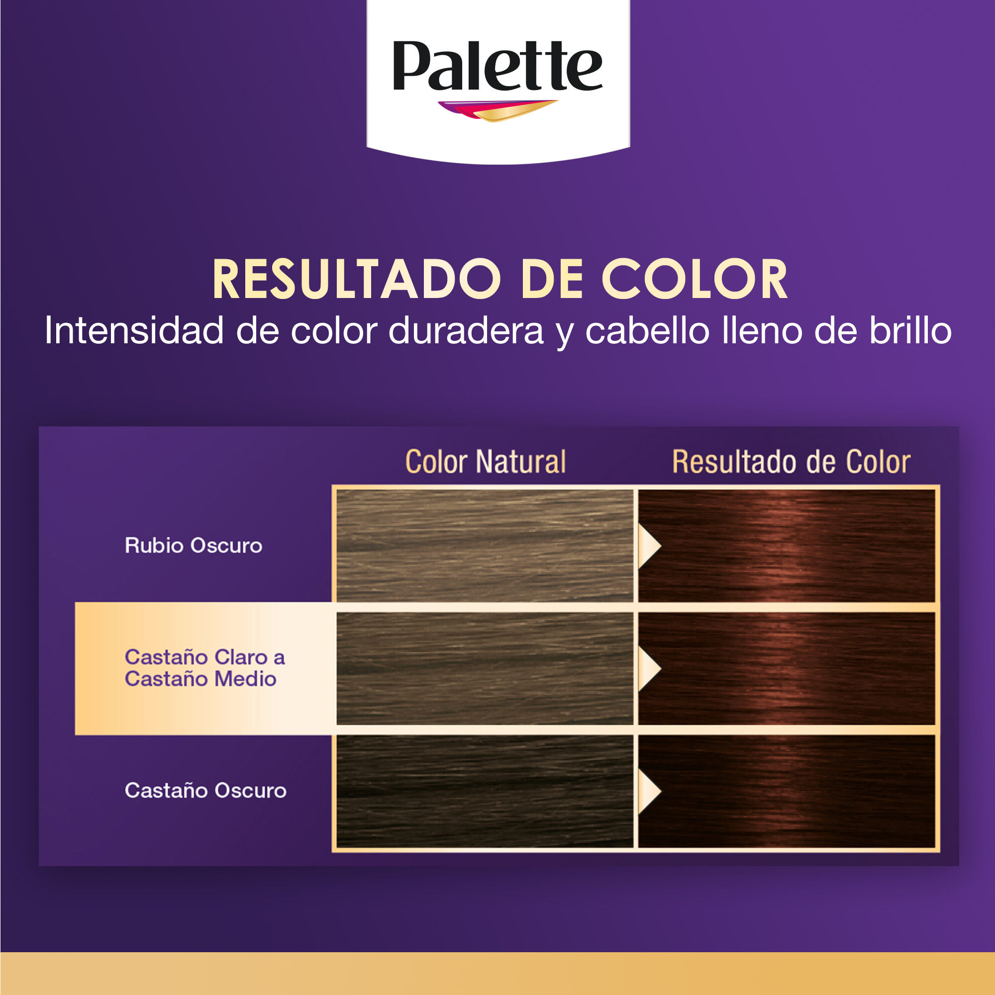 Tinte Cabello Chocolate Profundo #3 68 Palette 1.0 Pza
