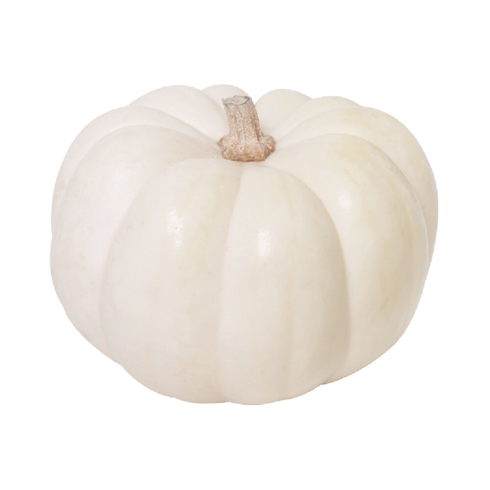 Calabaza Blanca Mini Casperita S/marca 1.0 Pza
