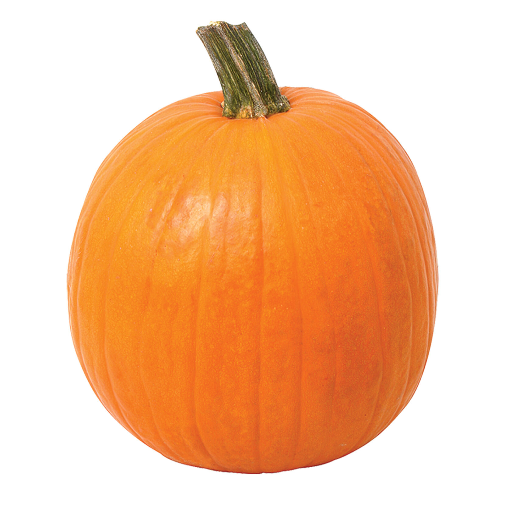 Calabaza Infantil S/marca 1.0 Pza