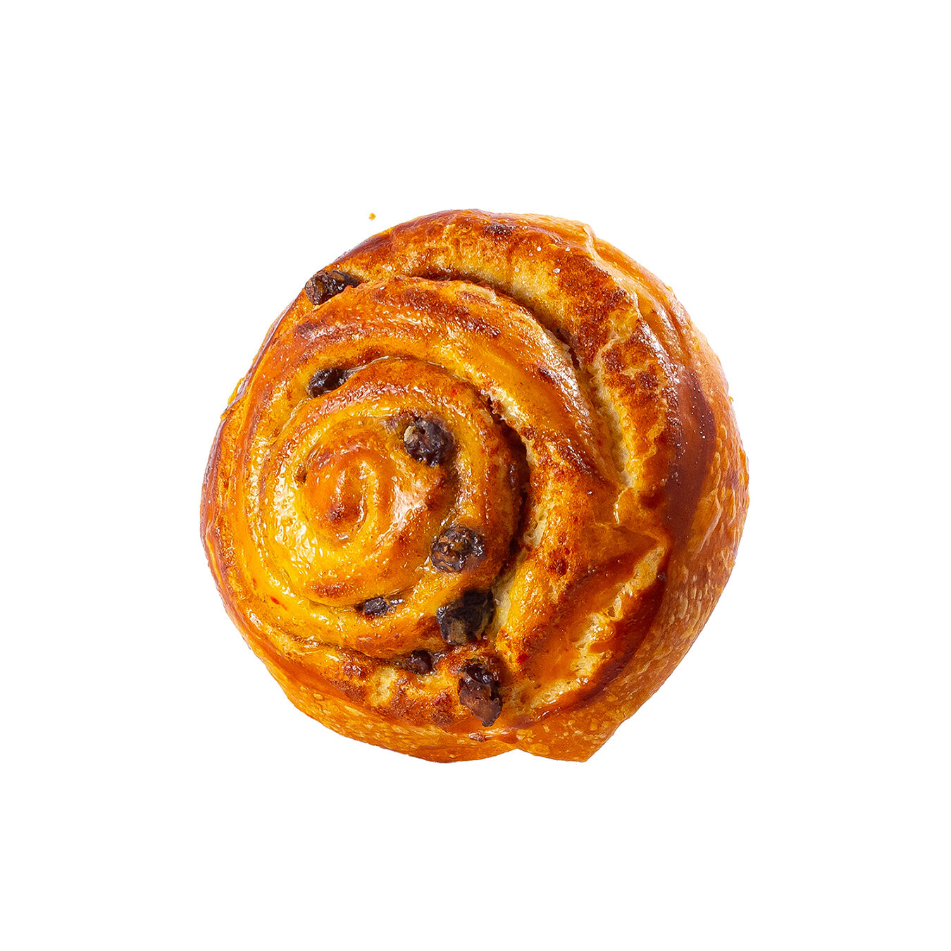 Nido De Danes Pantor 1.0 Pza