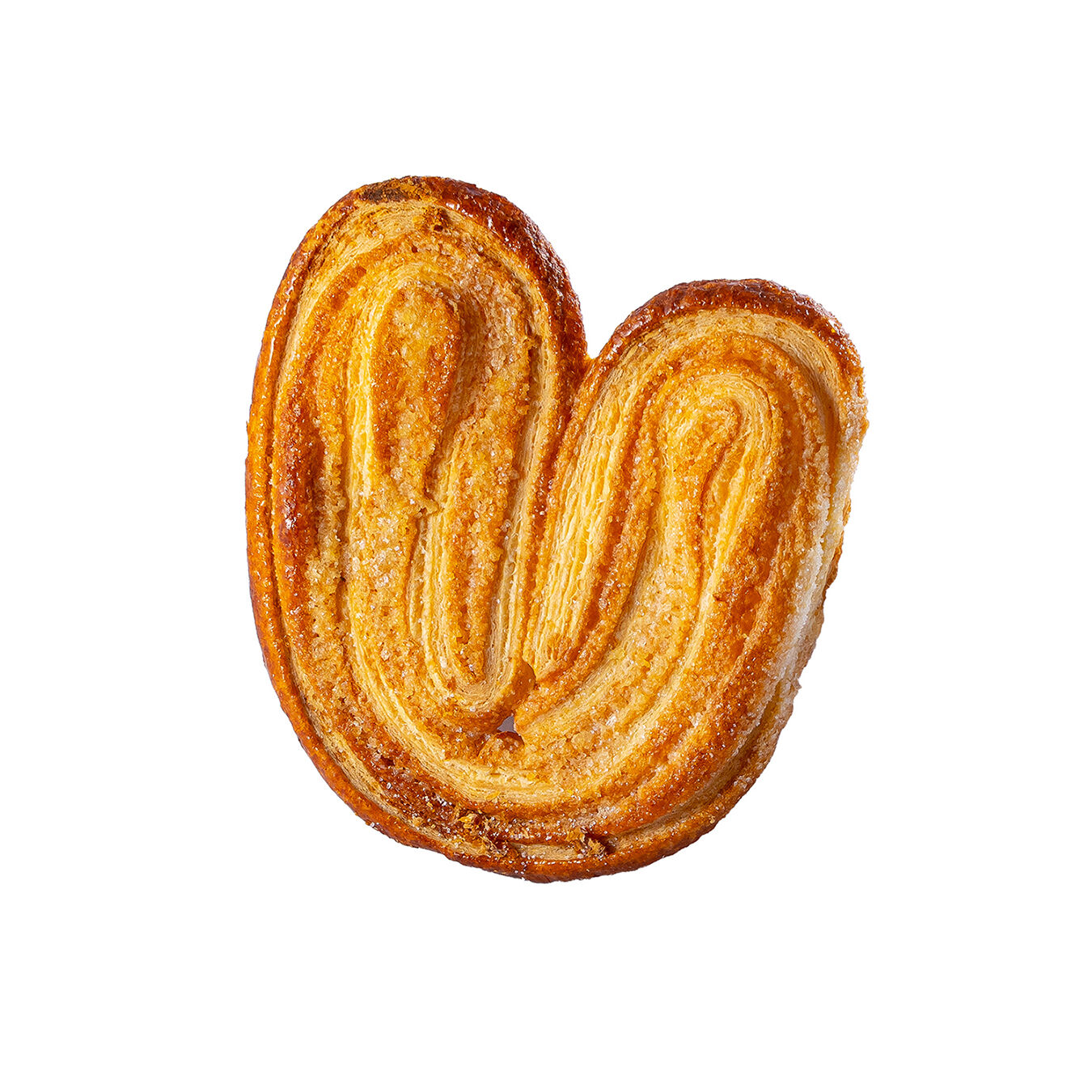 Nido De Danes Pantor 1.0 Pza