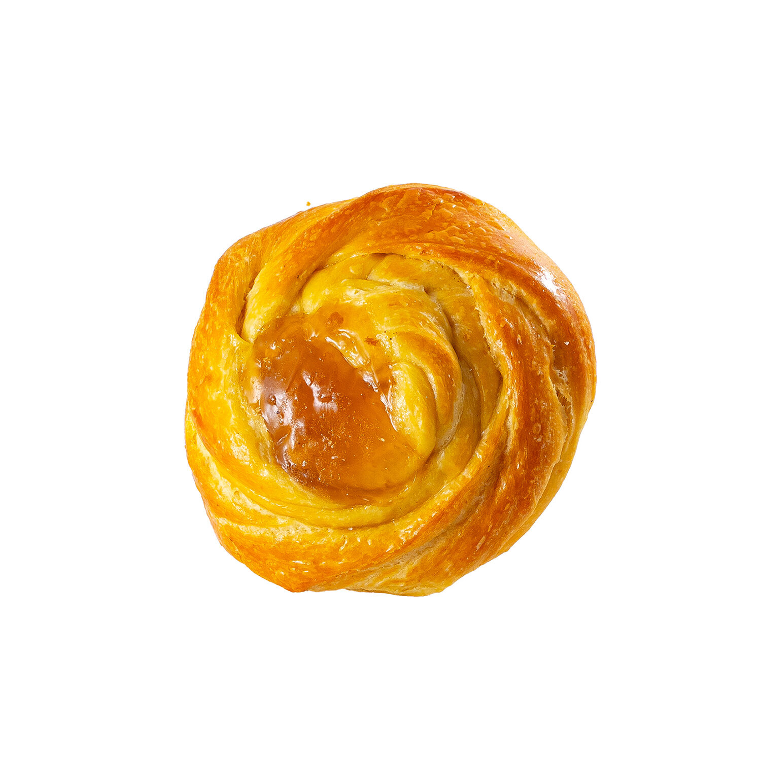 Nido De Danes Pantor 1.0 Pza