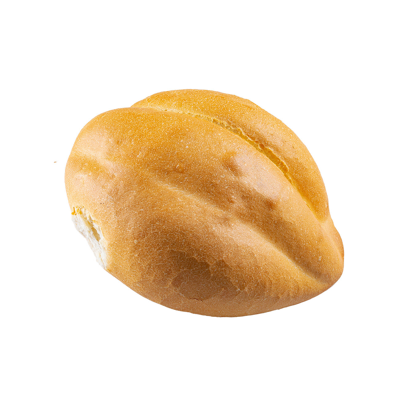 Telera Pantor 1 0 Pza