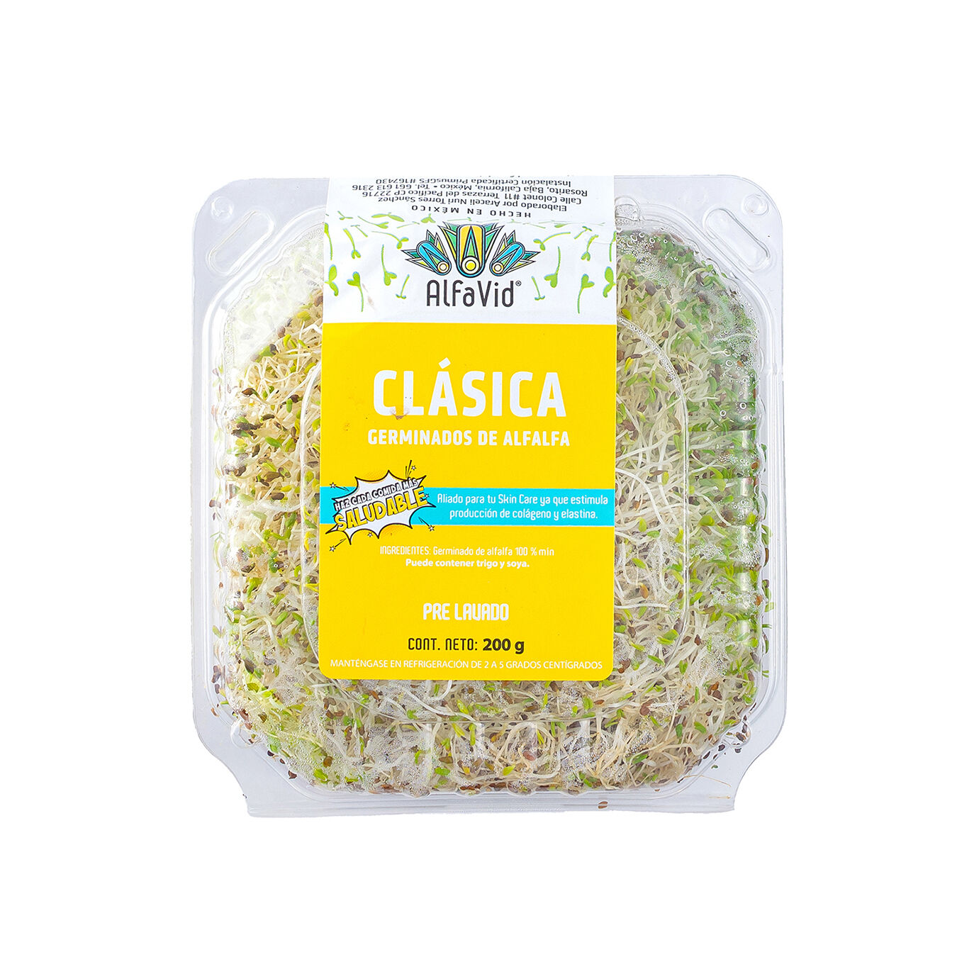 Alfalfa Clasica Alfavid 1.0 Pza