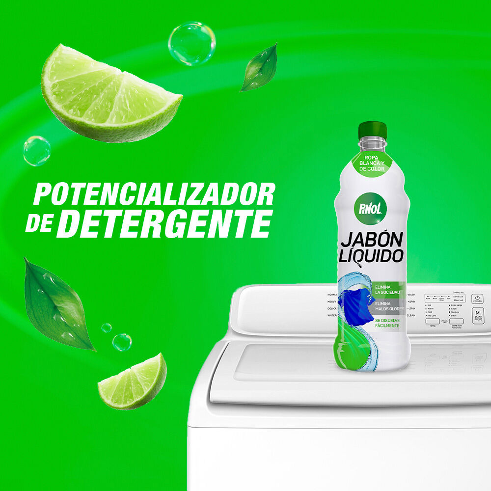 Jabon Liquido Ropa Color Pinol 1.65 Lt