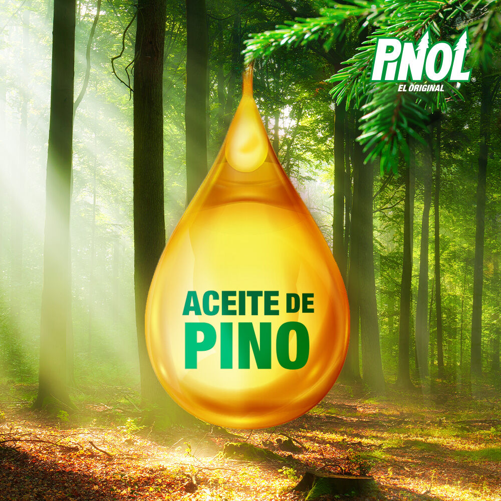 Aceite D/pino Pinol 3.785 Lt