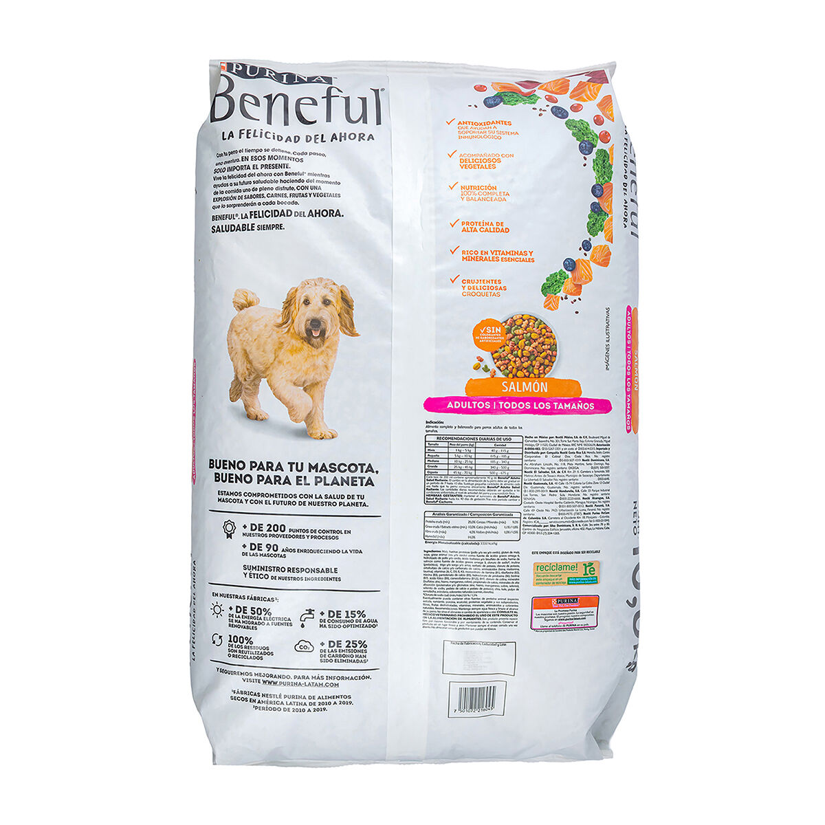 Comida P/perro Salmon Beneful 10 Kg