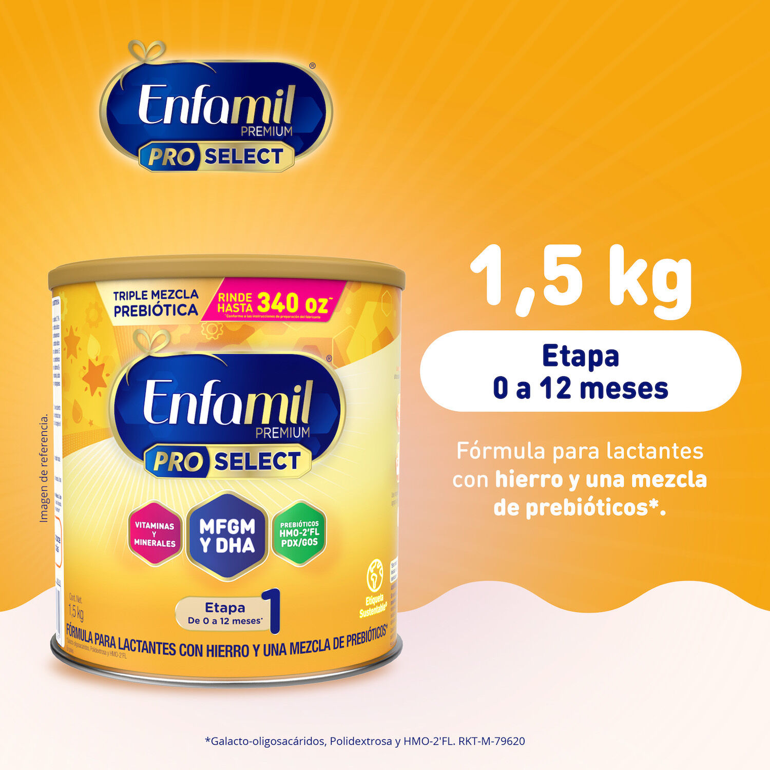 Formula Etapa 1 Enfamil 1.5 Kg