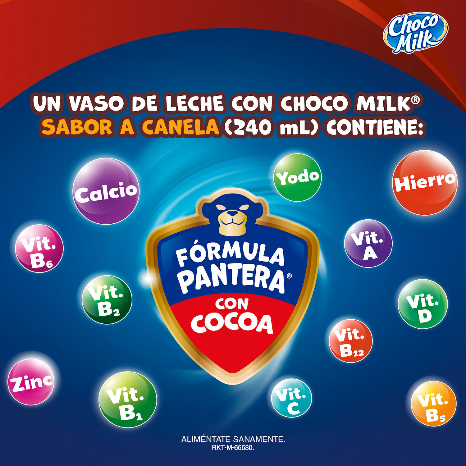 Chococanela En Polvo Chocomilk 350.0 Gr