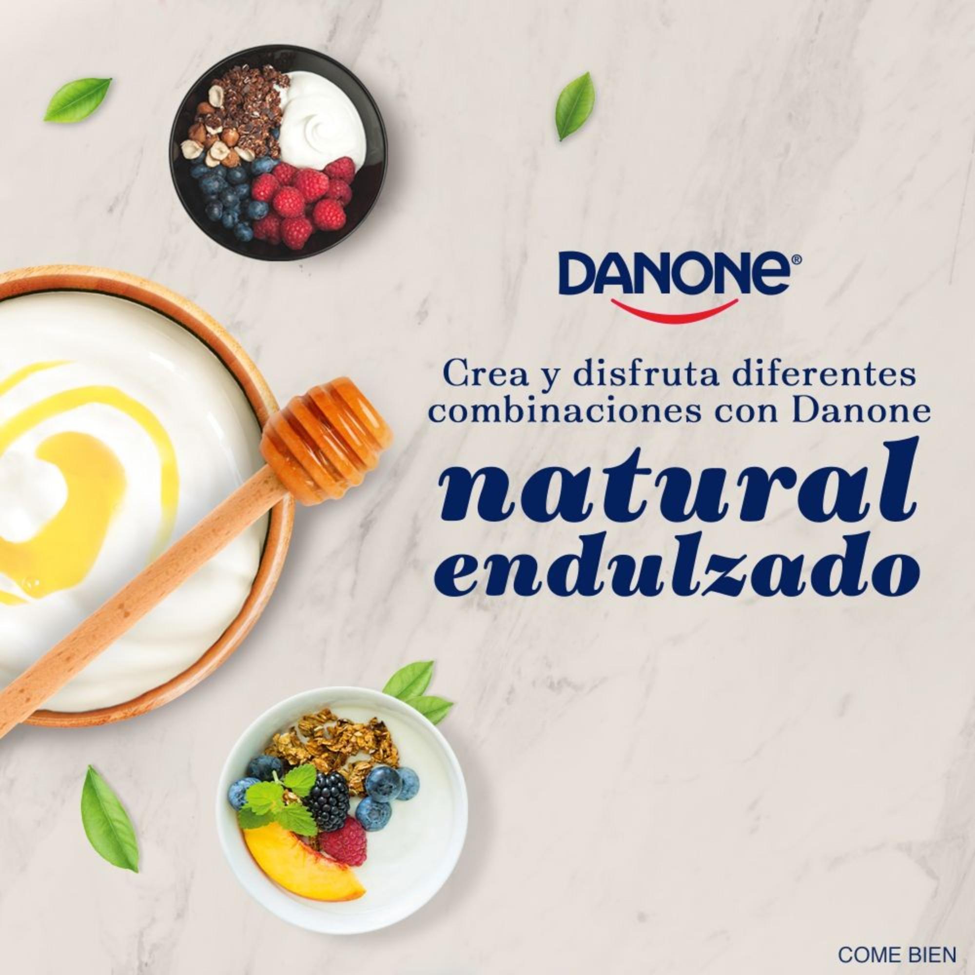 Yoghurt Danone Natural Con Fermentos Naturales 900g