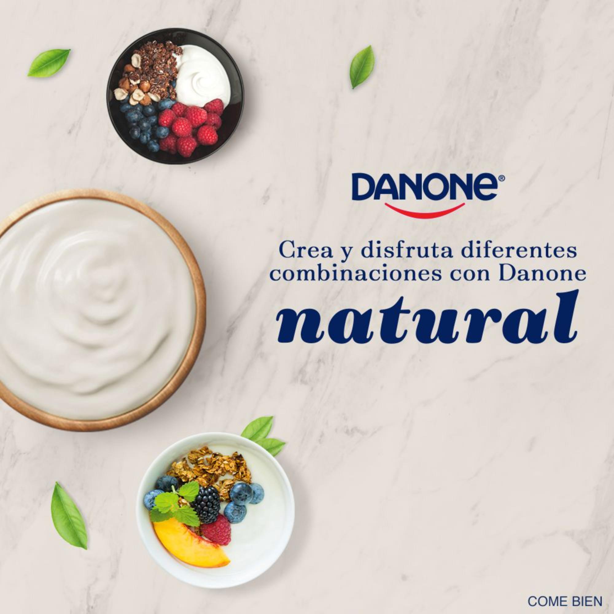 Yoghurt Danone Natural Sin Azúcar 900g