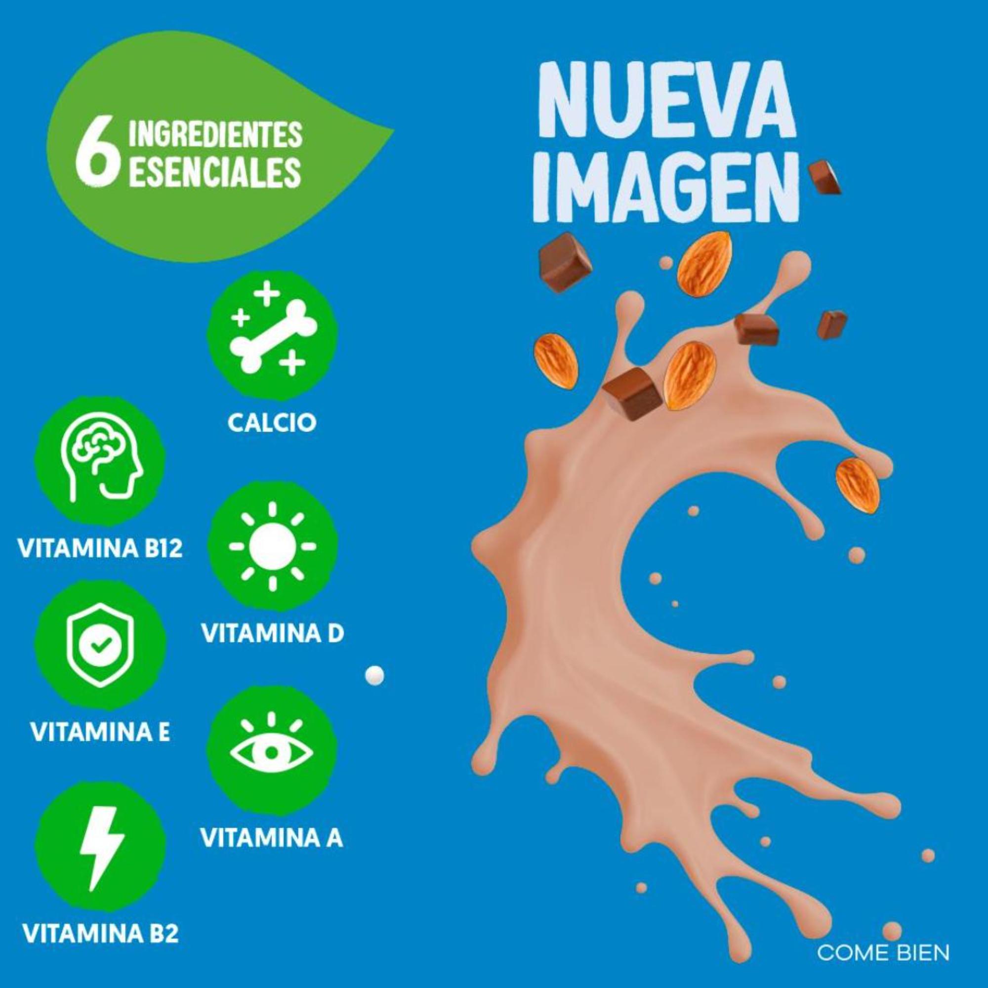 Leche Almendra Chocolate Silk 946.0 Ml