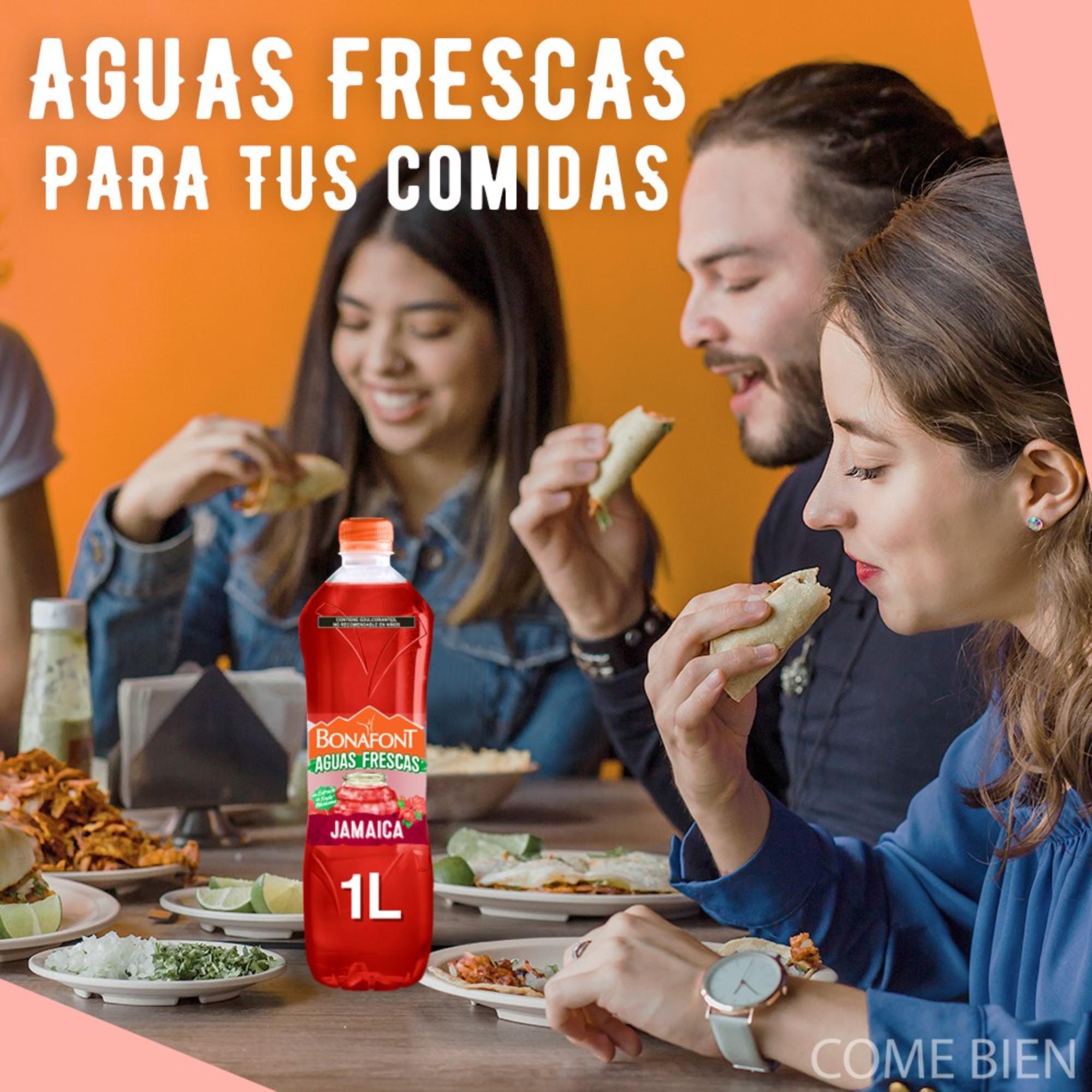 Bonafont Aguas Frescas Jamaica 1l