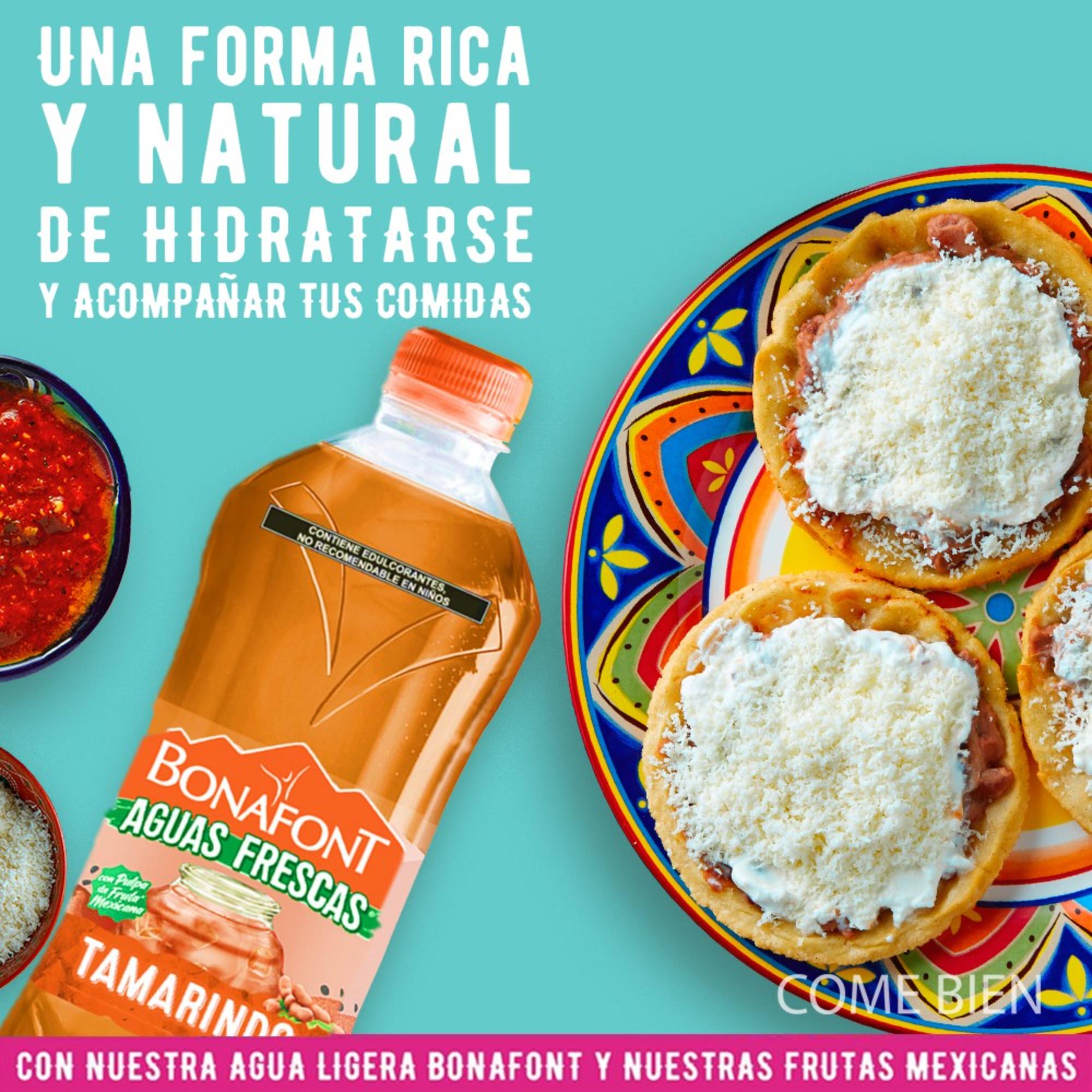 Bonafont Aguas Frescas Tamarindo 1l